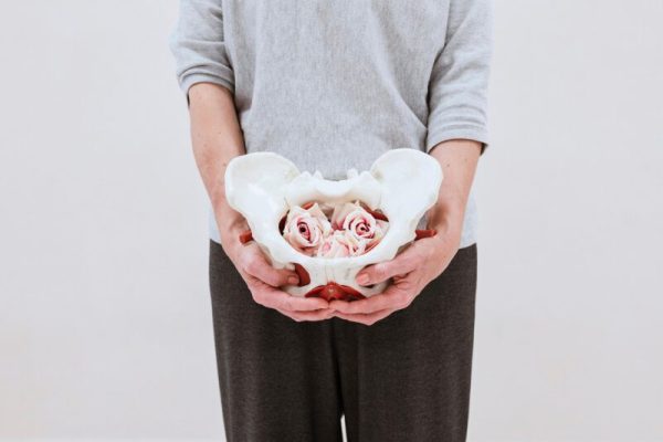 bekkenfysiotherapie